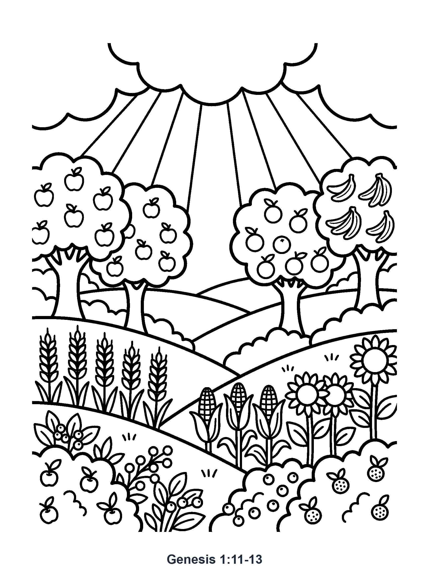 Genesis 1:11-13 Coloring Page