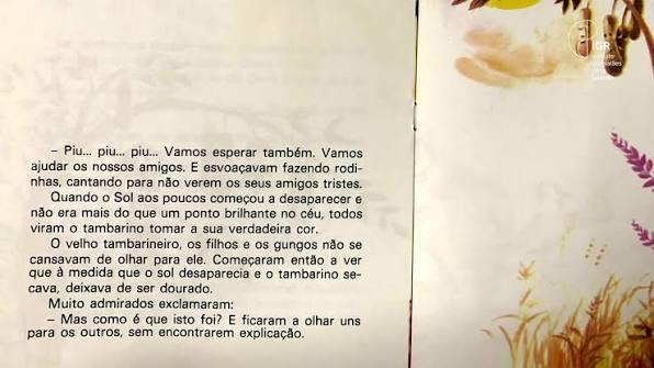 O Tamarindo Dourado  image 1