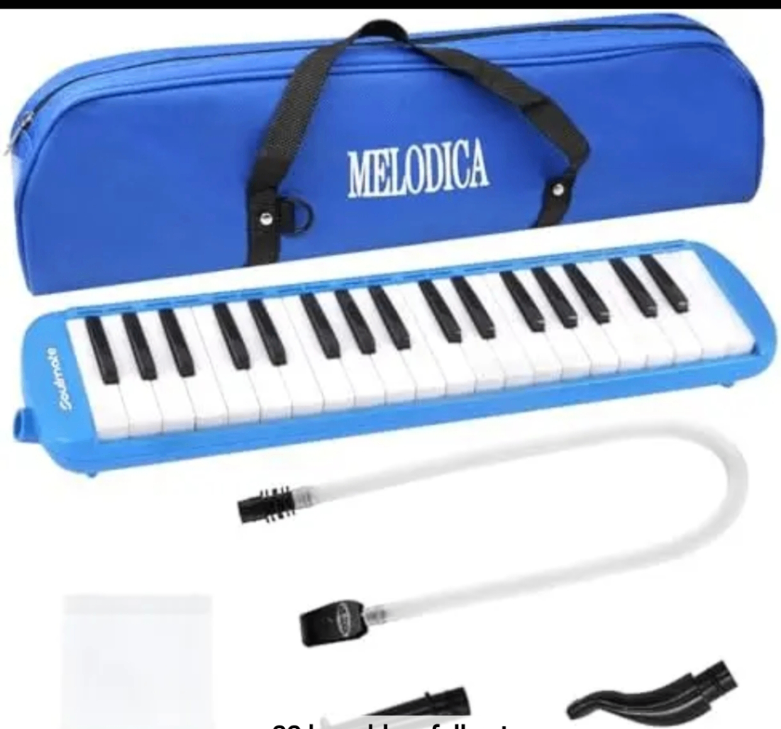 Melódica Azul image 1