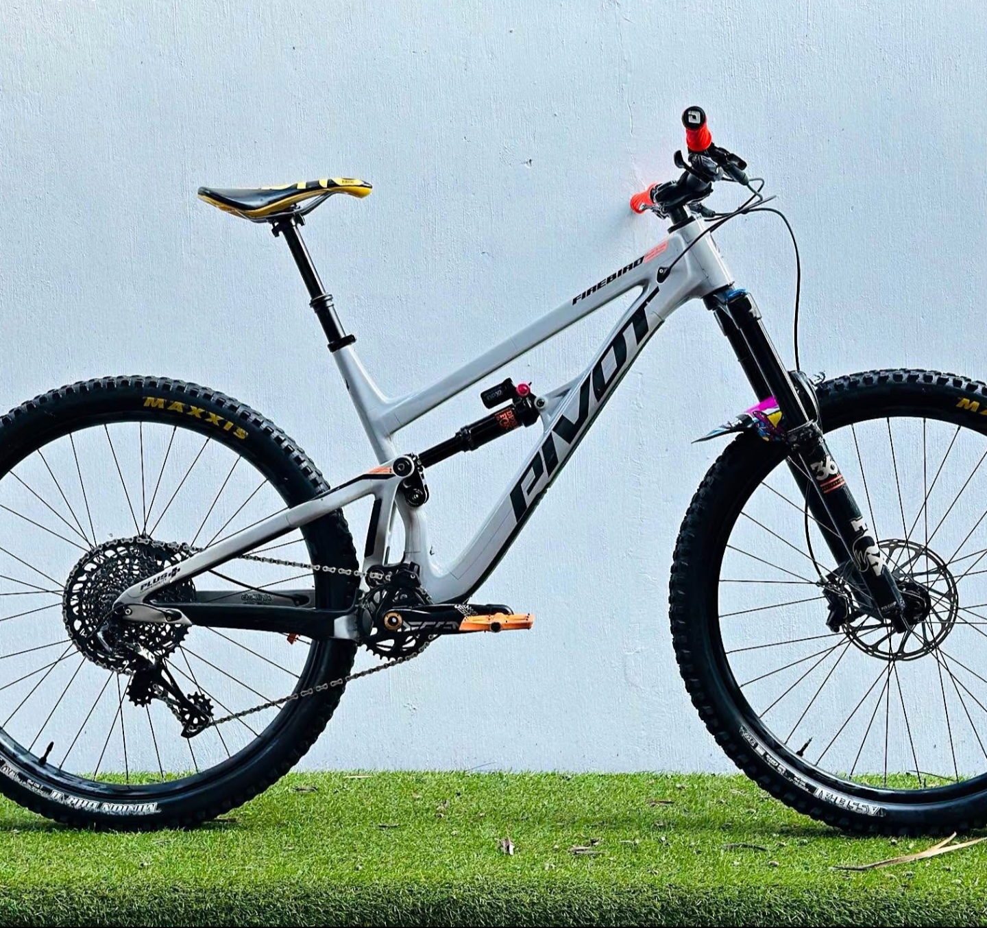 Pivot Cycles Firebird