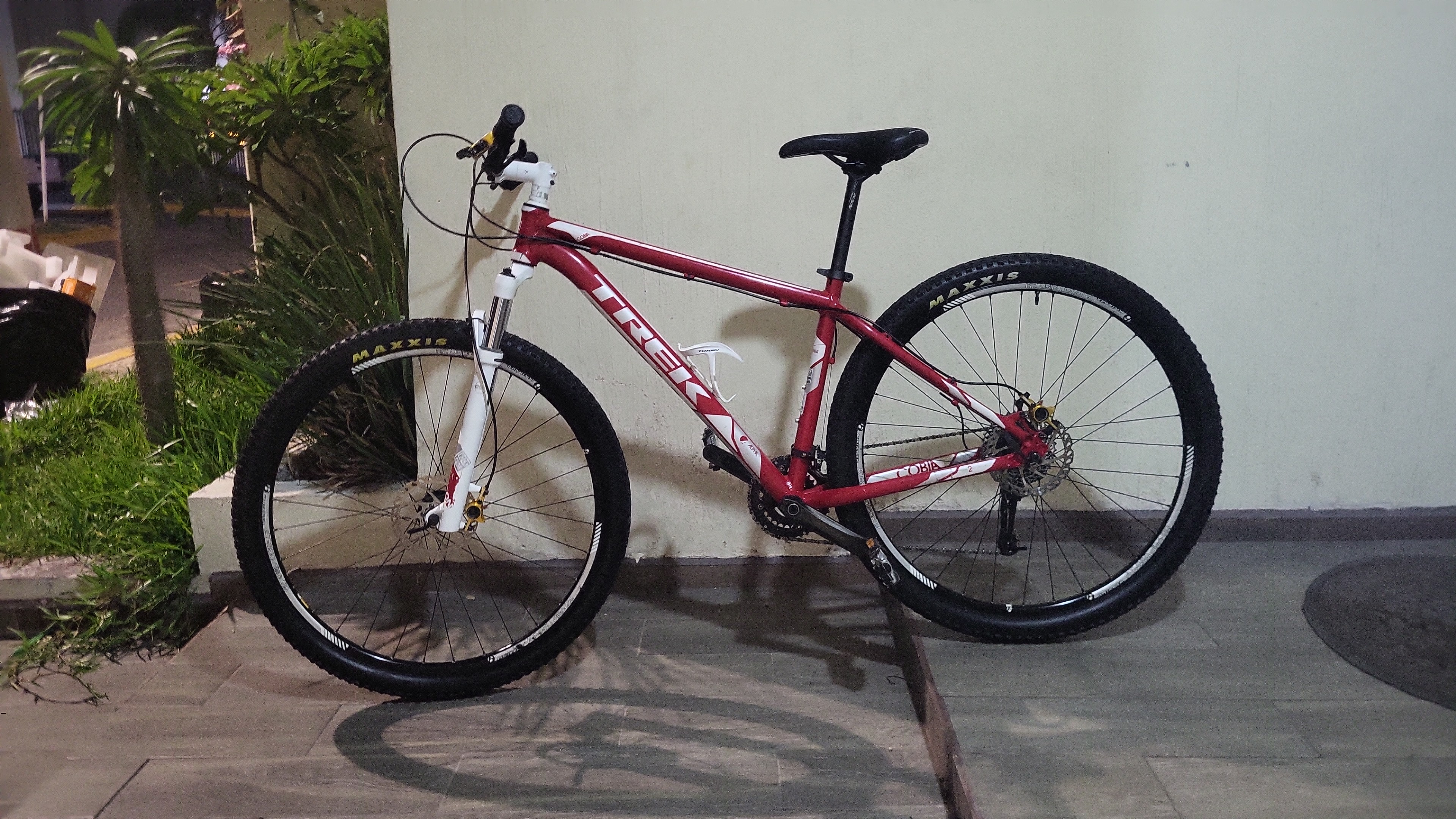 Trek Cobia