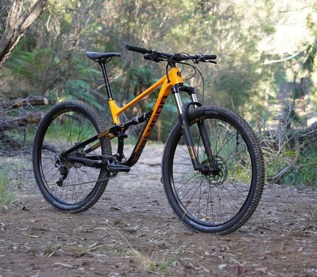 Polygon  Siskiu D6 