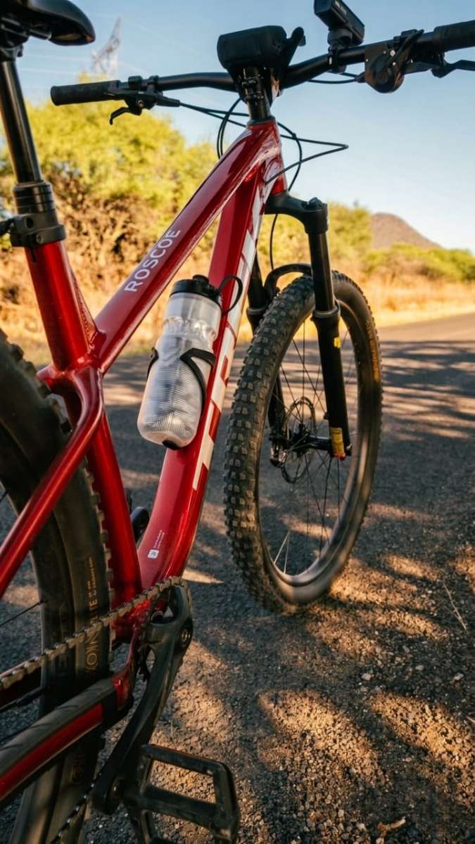 Trek Roscoe 6