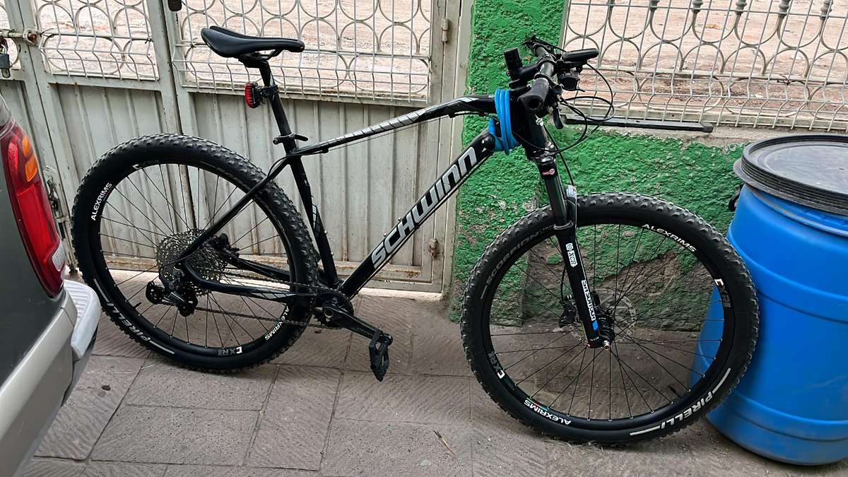 Schwinn Axum