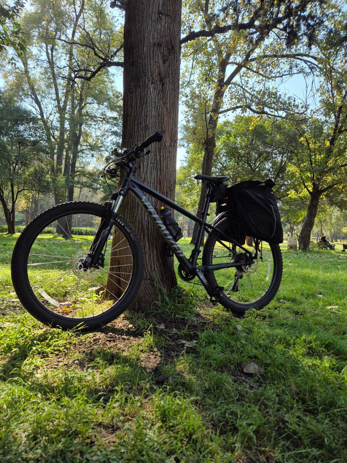 Specialized rockhopper sport