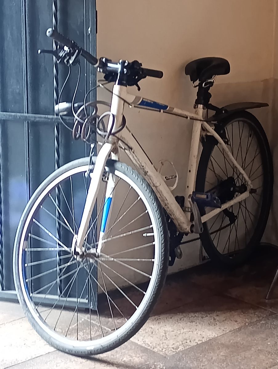 Diamondback D1