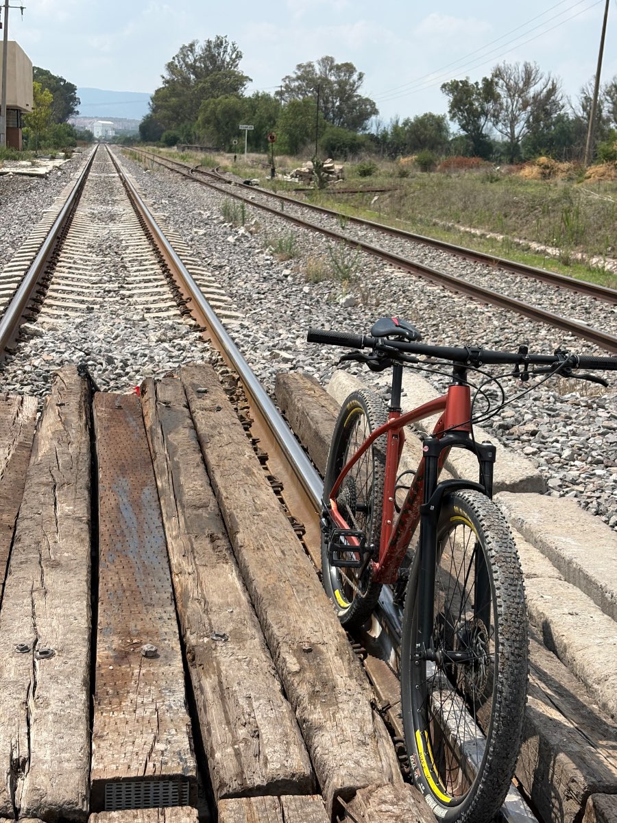 Orbea Onna 10
