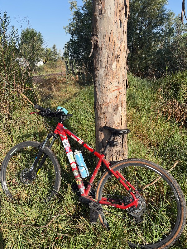 Alubike Sierra