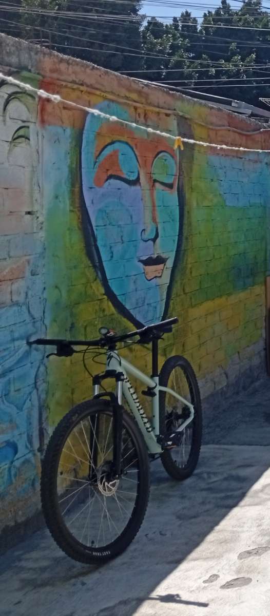 Specialized Rockhopper