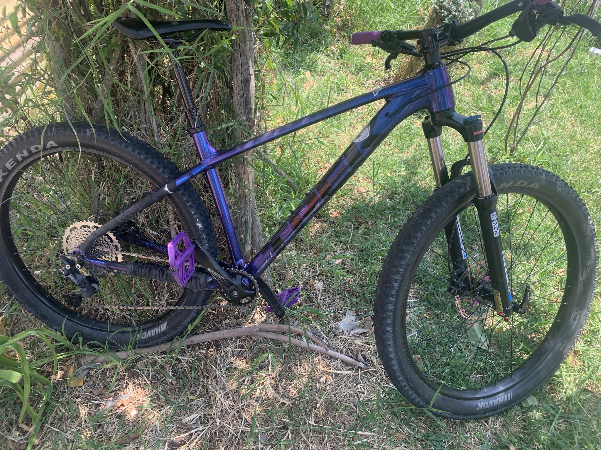Trek Roscoe 6