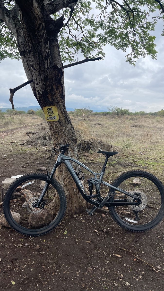 Trek Fuel Ex 5