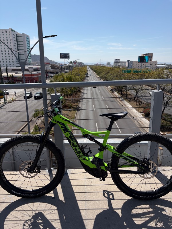 Specialized Turbo Levo
