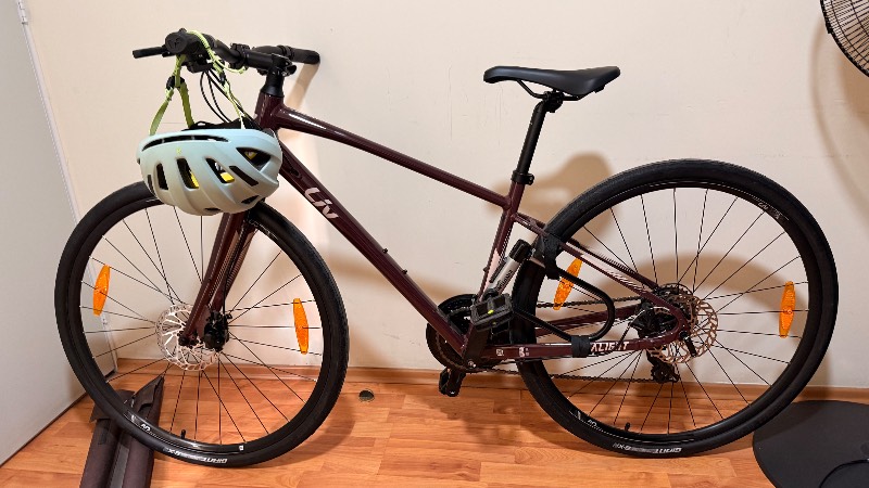 Liv Alight DD Disc 3