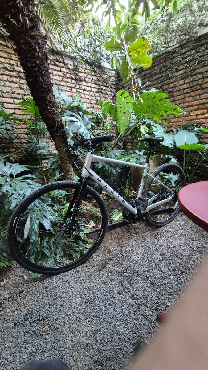Marin Bikes fairfax 2