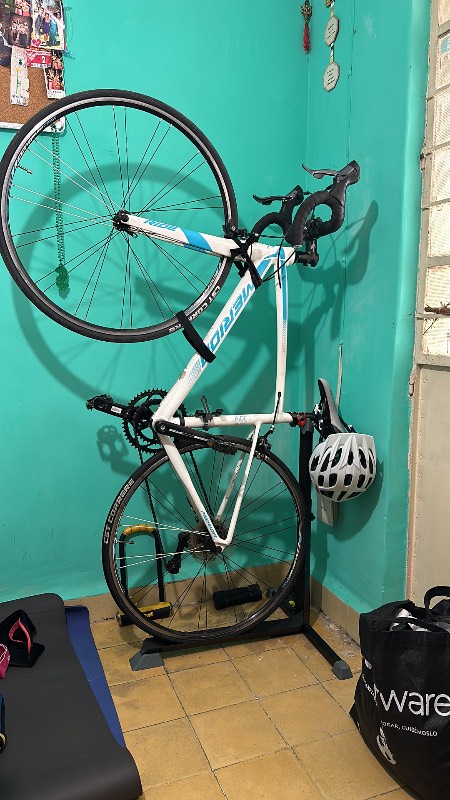 Merida Juliet 100