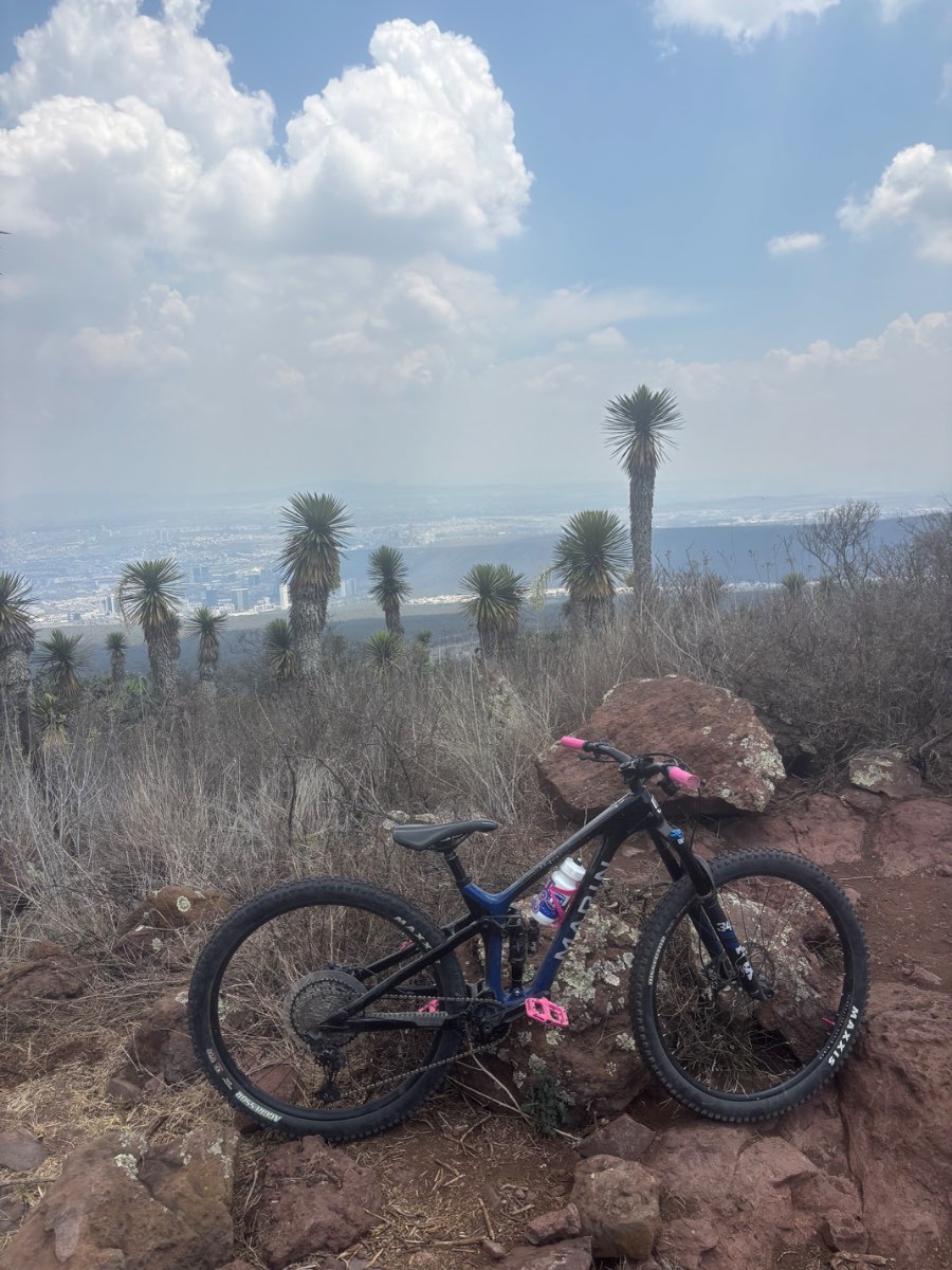 Marin Bikes Rift zone 2