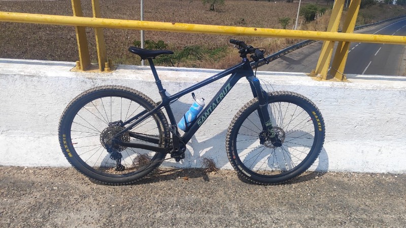 Santa Cruz Chameleon C