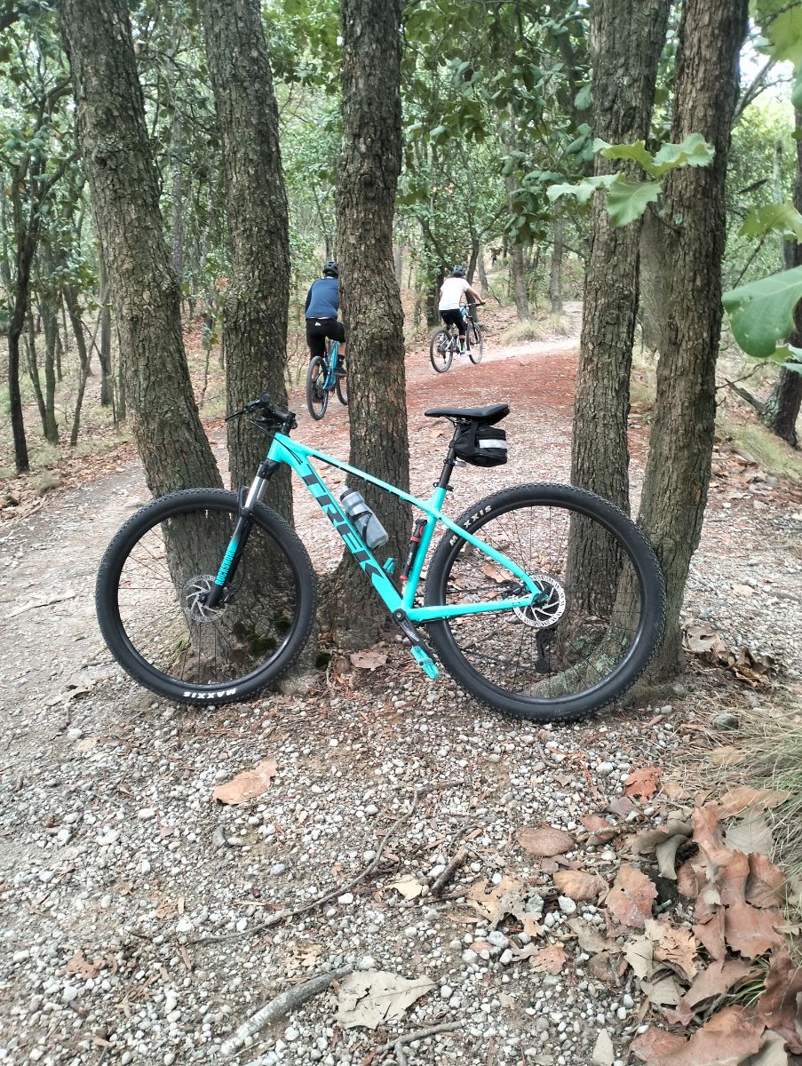Trek Marlin7