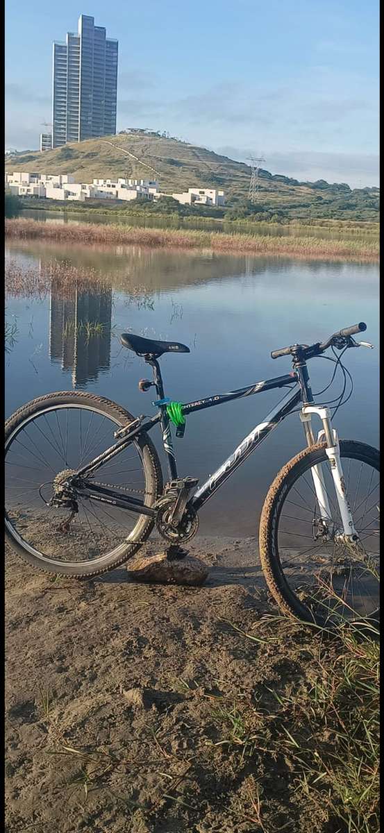 Fuji Absolute 2.1