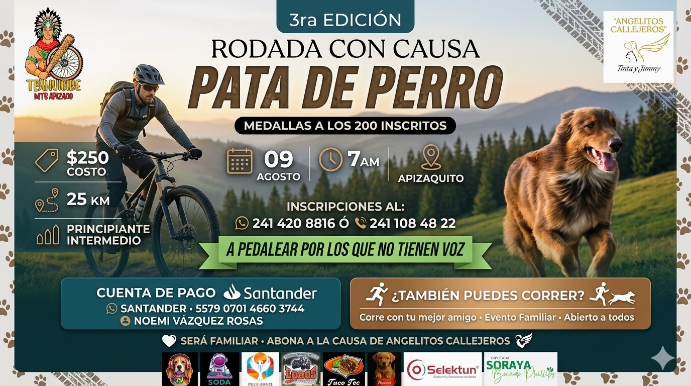 Portada de Angelitos Callejeros
