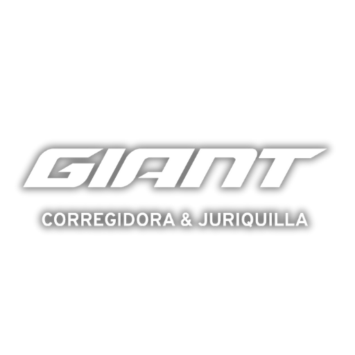 Giant Store Juriquilla logo