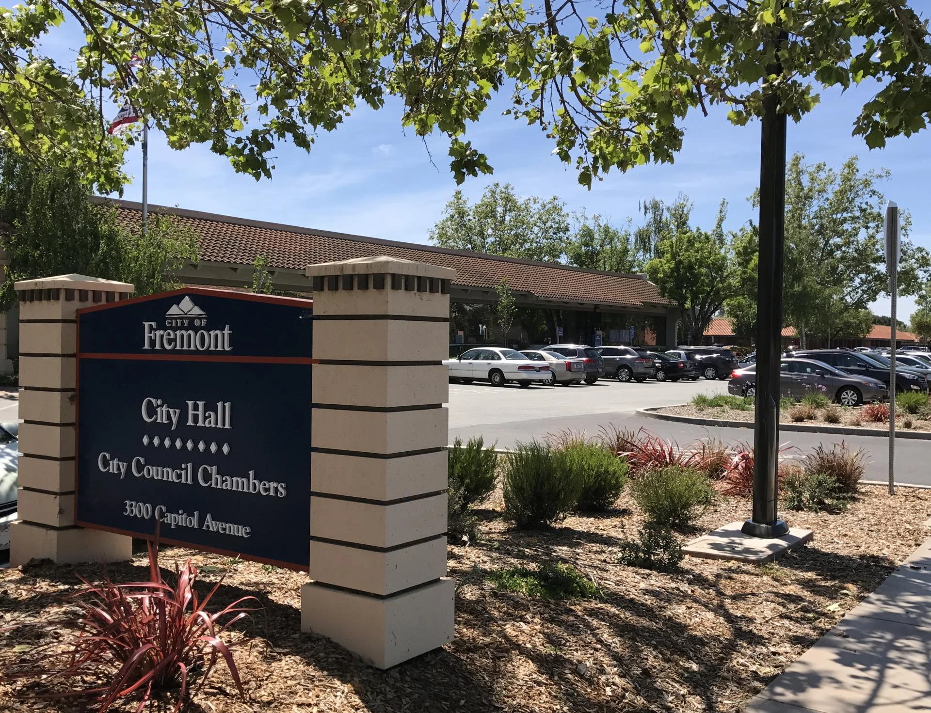 Thumbnail for What Happens At City Hall