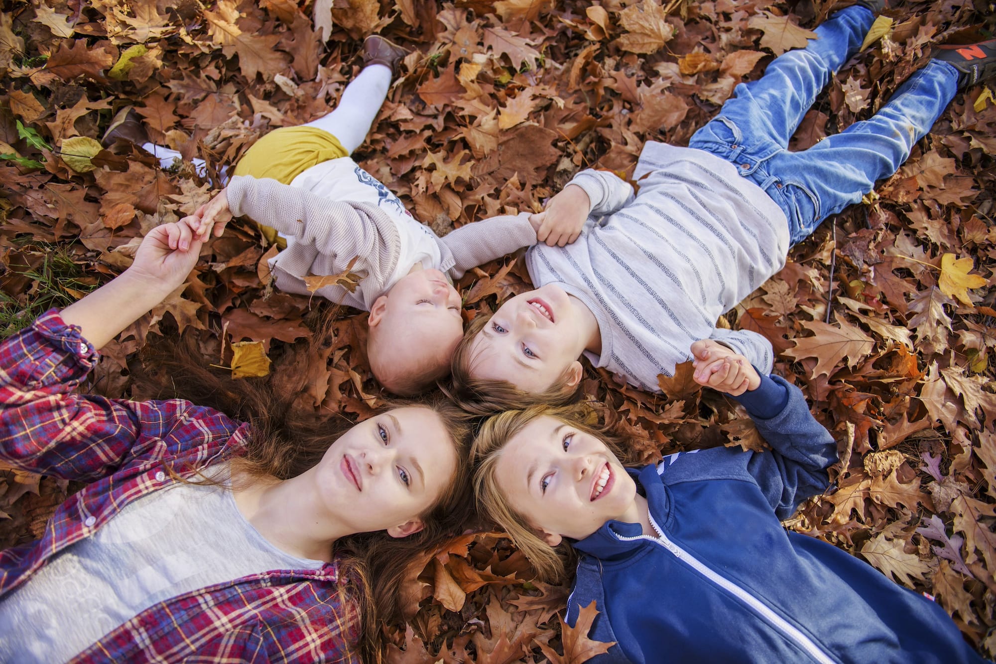 4 siblings laying in leaves