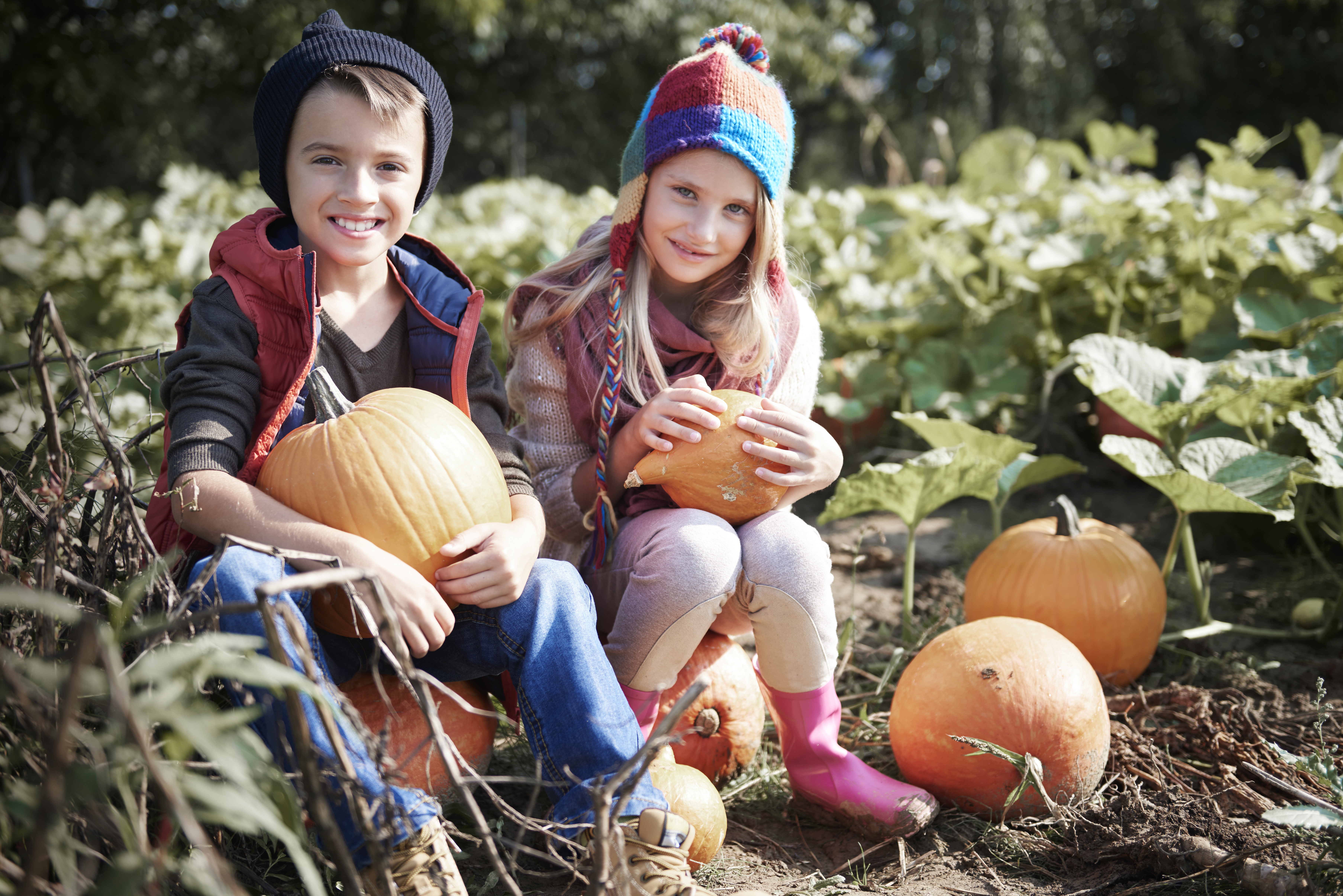 Kids at pumpkin patch