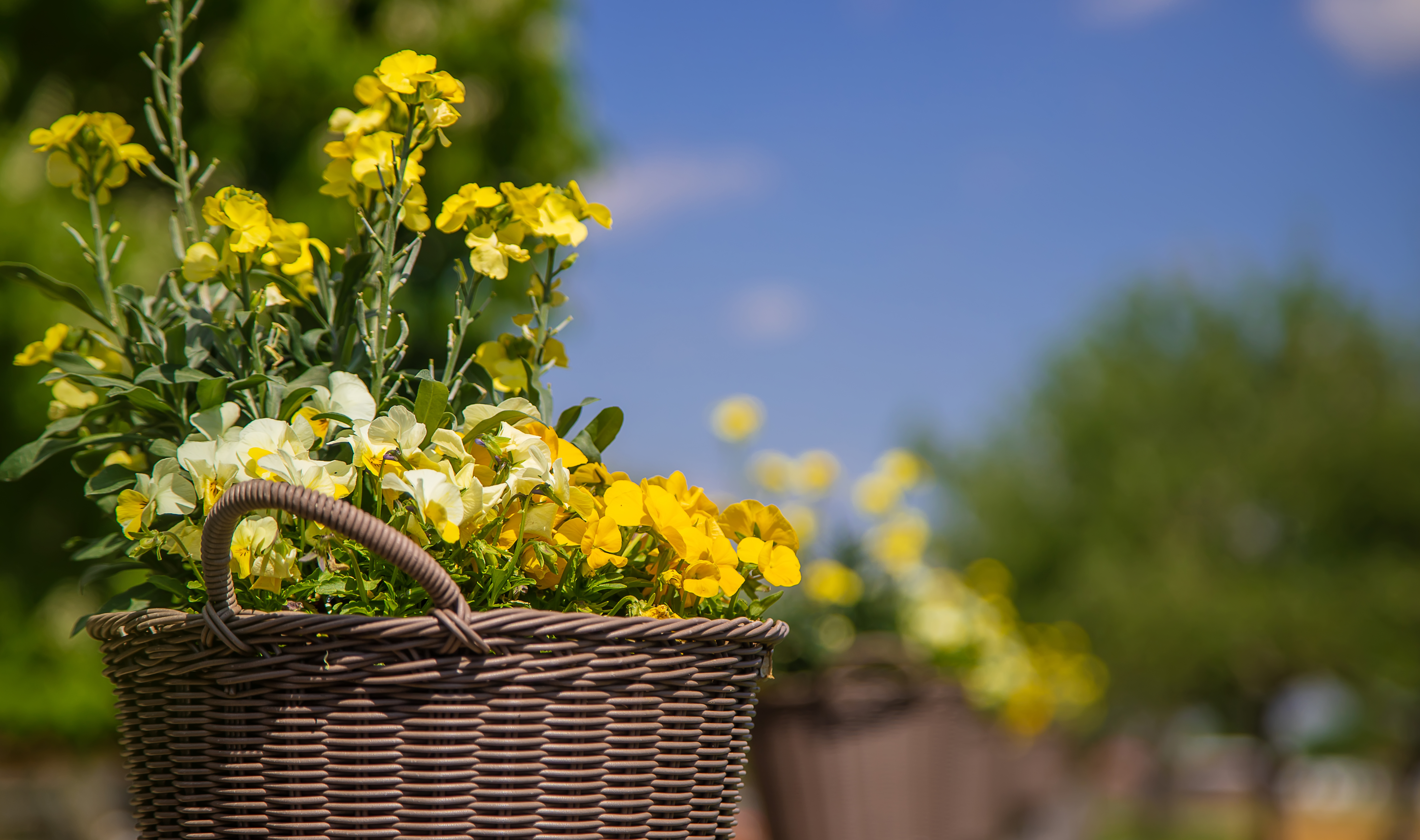 Flower basket