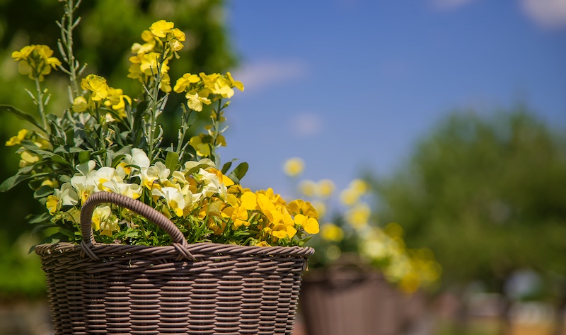 flower basket