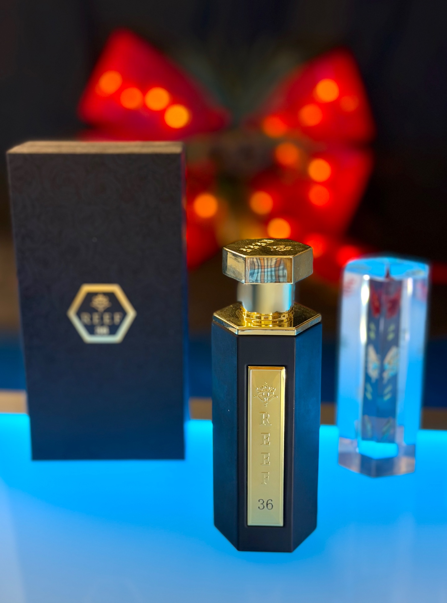 REEF 26