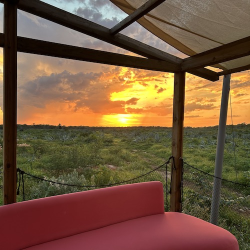 Un glamping en Yucatán inmerso entre campos de Henequén 