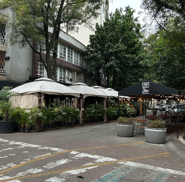 Why Everyone’s Talking About Polanco —and you should be too.
