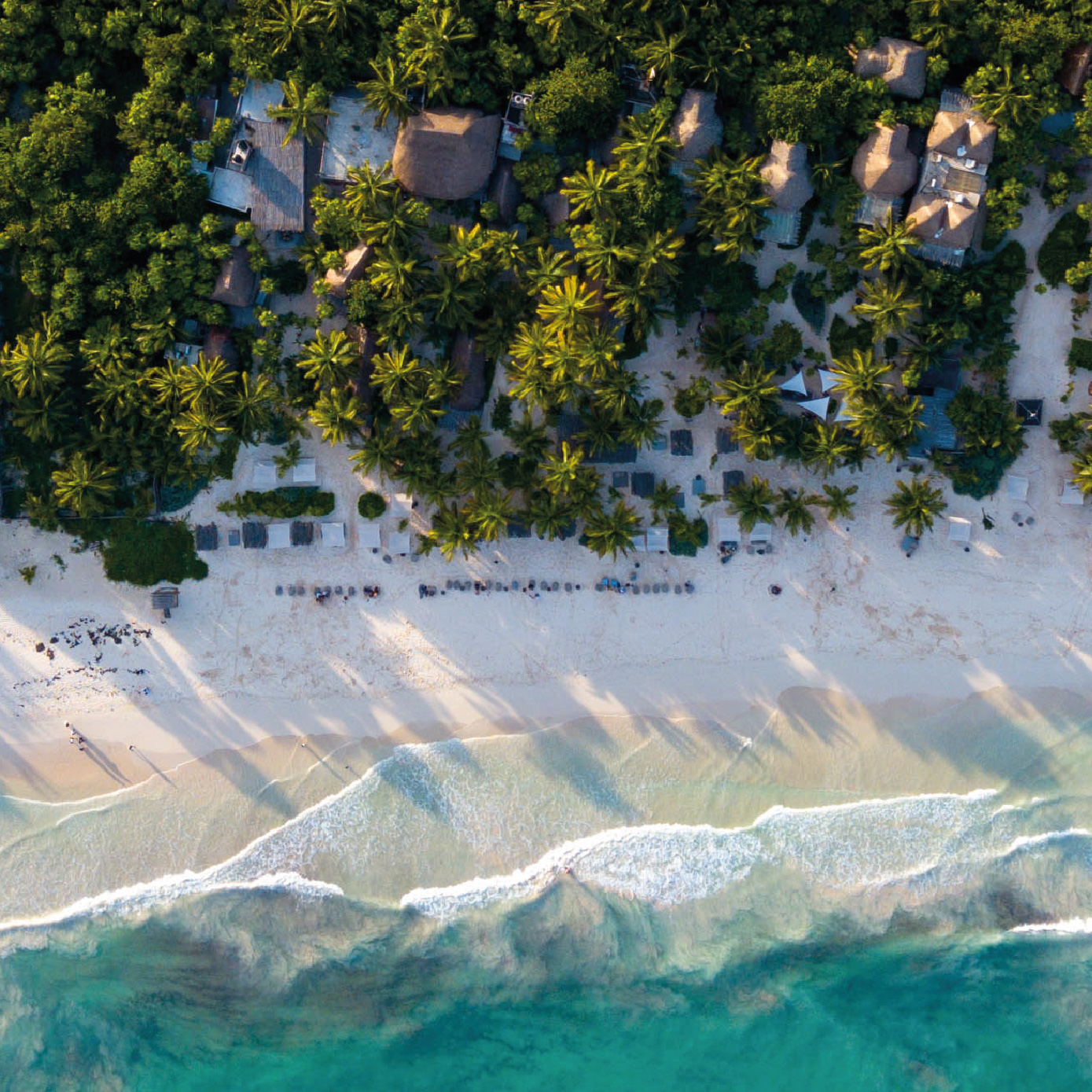 Betulum