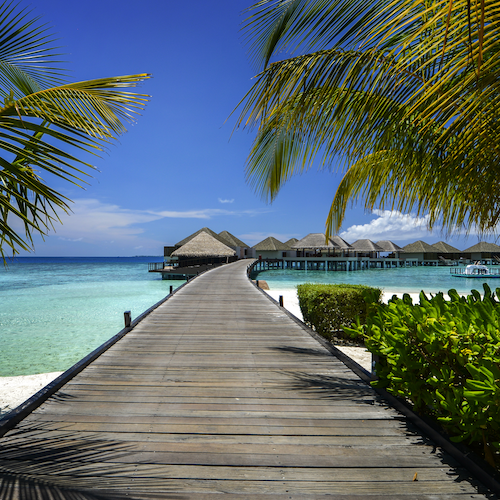 We are back in the Maldives! 