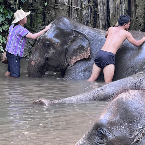 Un Viaje por Tailandia