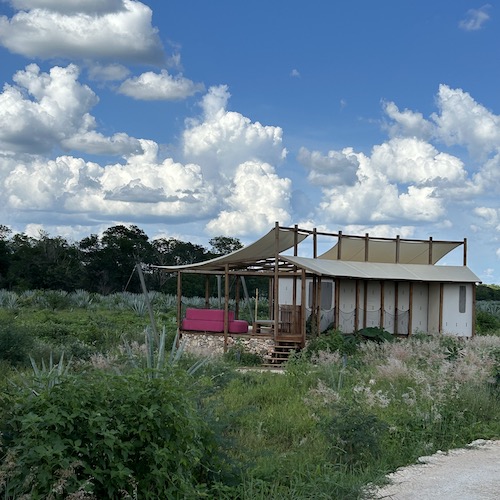 Un glamping en Yucatán inmerso entre campos de Henequén 