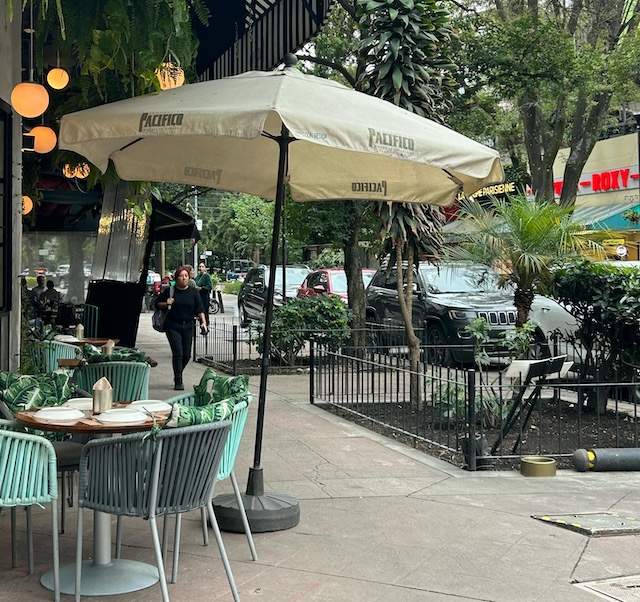 Why Everyone’s Talking About Polanco —and you should be too.