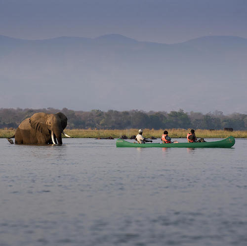 Un Viaje de Verano Inolvidable: Mis Aventuras en África