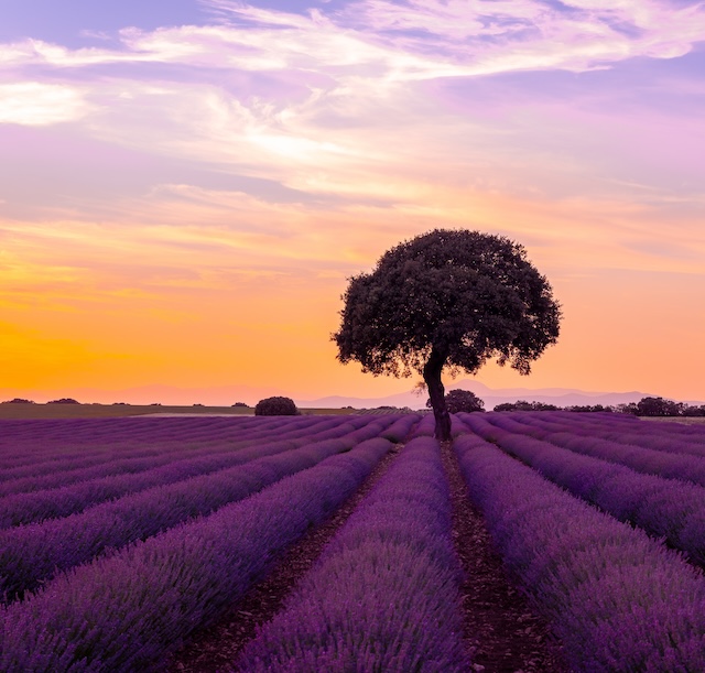 The eternal magic of France and the allure of beautiful Provence 