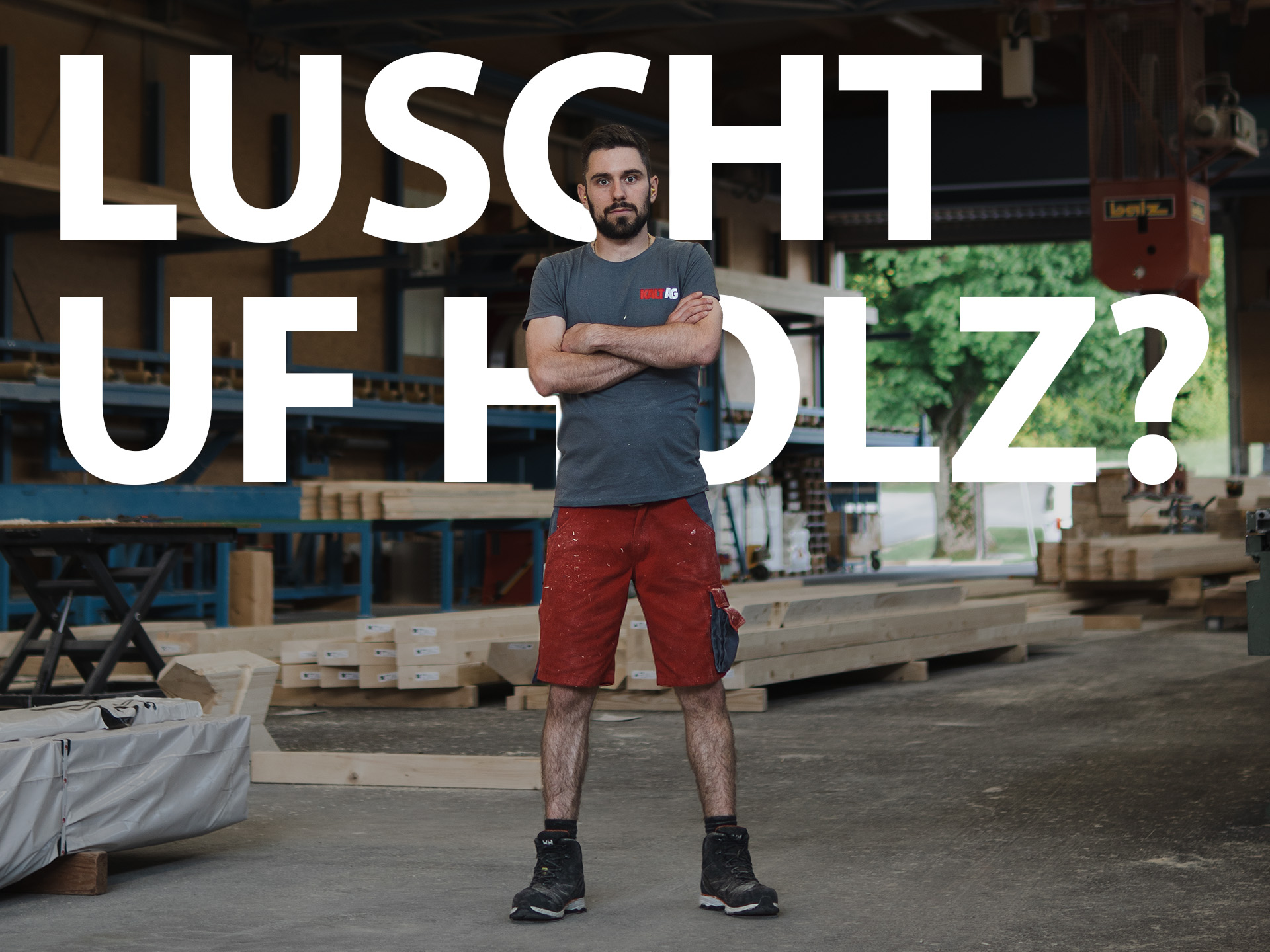 Holzbearbeiter EBA - Bild 5