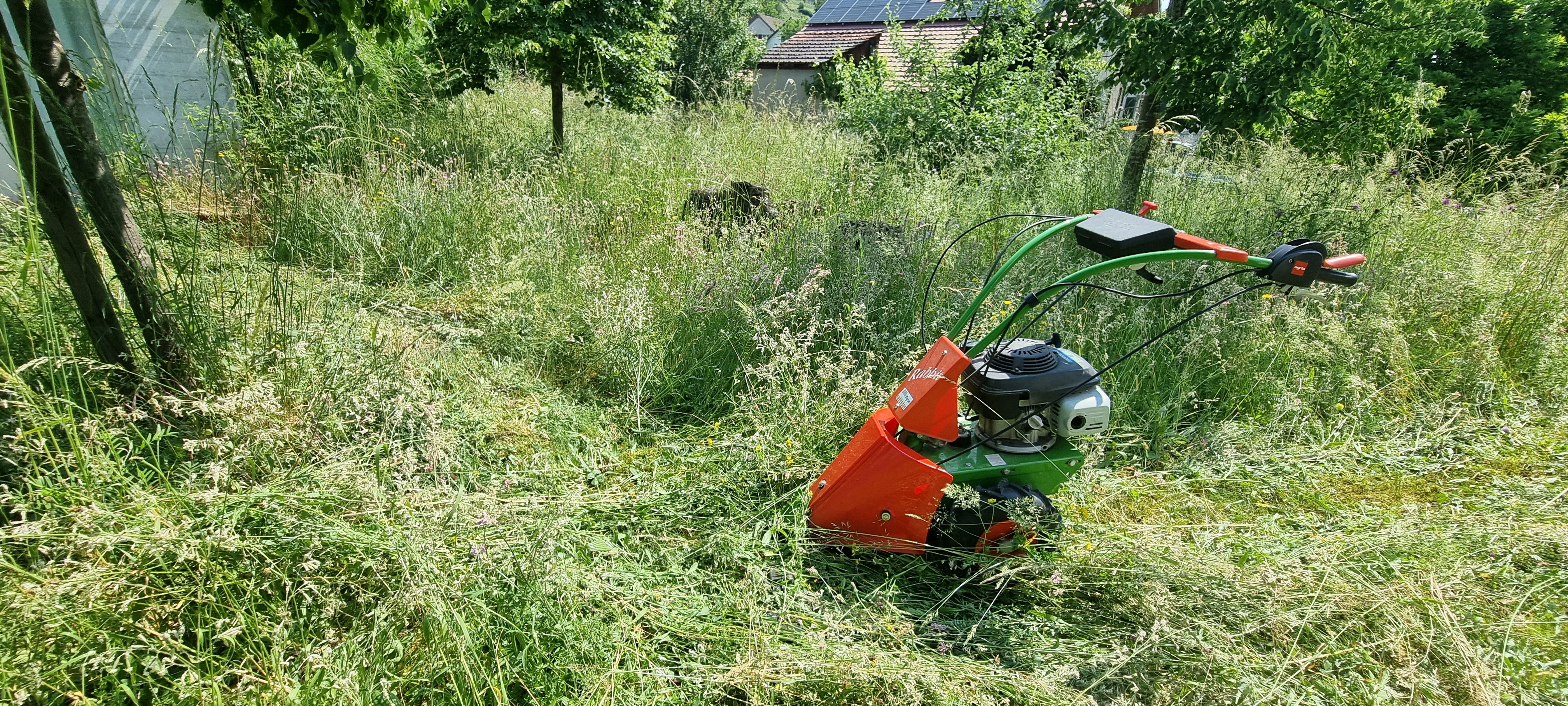 Lehrstelle Gärtner:in EFZ - Bild 5
