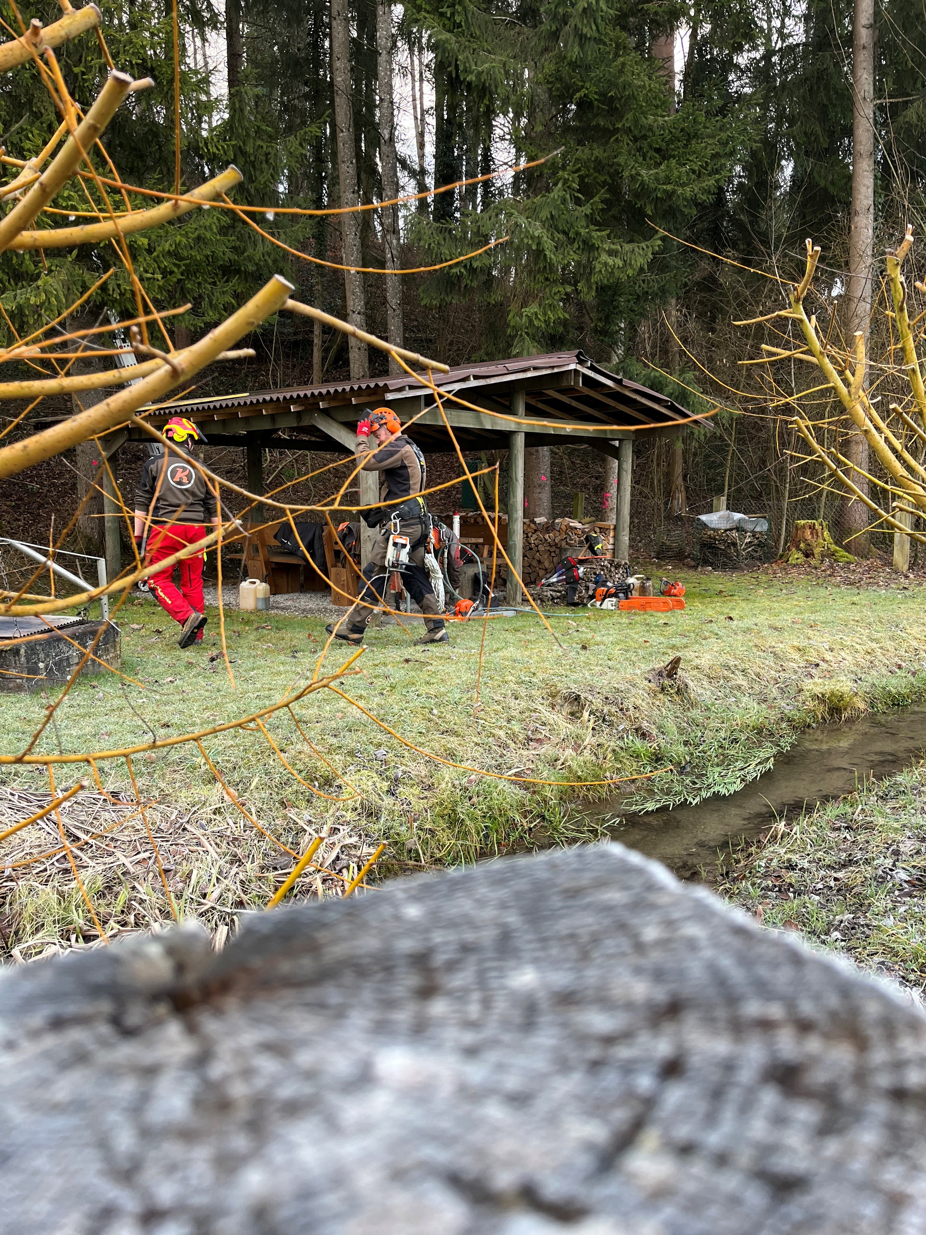 Gärtner/in EFZ - Bild 1