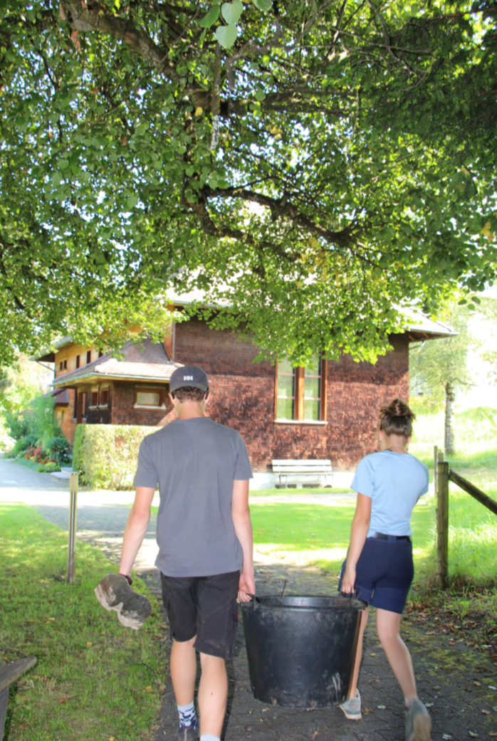 Lehrstelle als Gärtner:in Zierpflanzen EFZ 2026 in Bärau - Bild 2