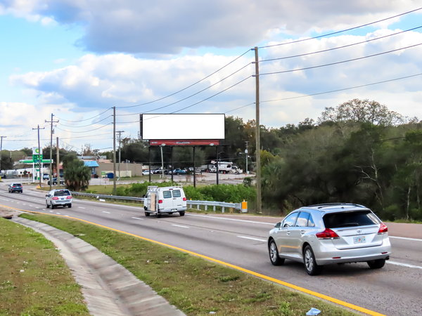 US 441 N WS 100ft N/O Rose Av F/NW - Single