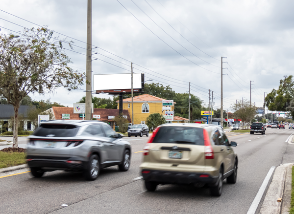 Aloma Av SS 0.1mi E/O Palmetto Av F/E - Single