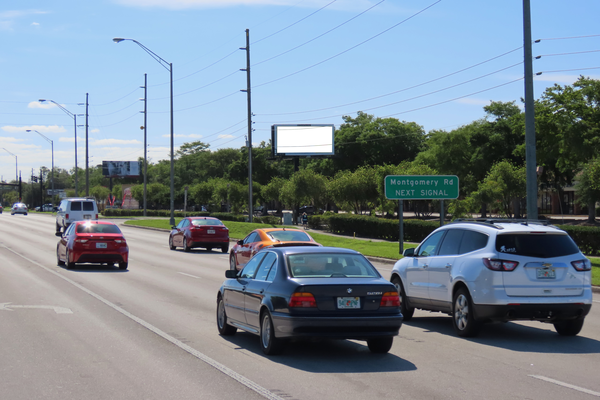 SR 436 SS 1mi W/O I-4 F/W - Single