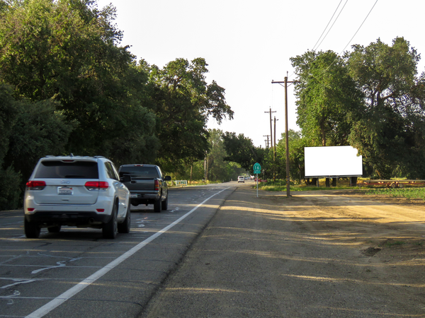 County Rd 98 WS 500ft S/O Rd 19a F/N - 1