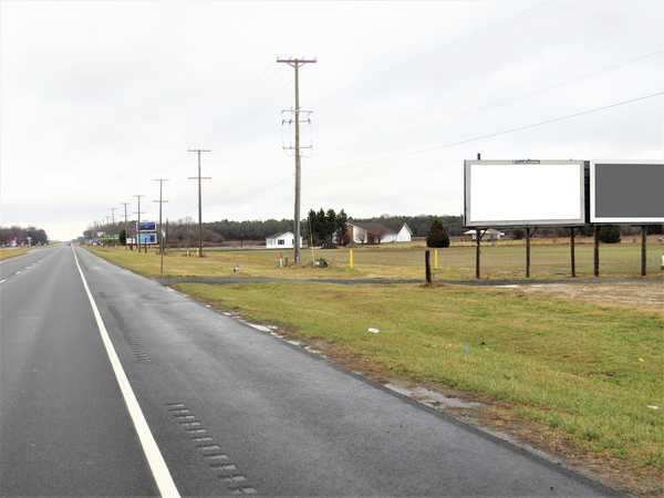 US 13 ES 0.6mi N/O Tharp Rd F/S - 3