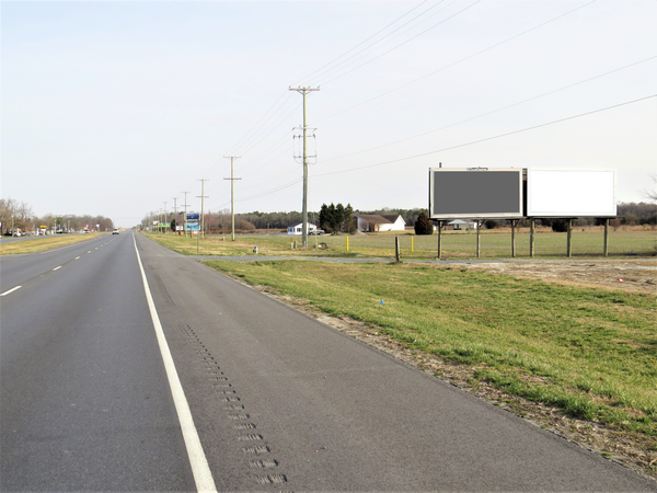 US 13 ES 0.6mi N/O Tharp Rd F/S - 4